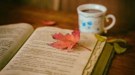The Autumn Leaf Book Photo#1