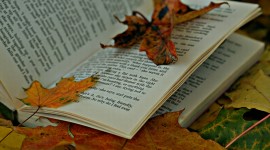 The Autumn Leaf Book Photo#3