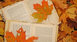 The Autumn Leaf Book Wallpaper For PC