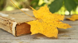 The Autumn Leaf Book Wallpaper#1