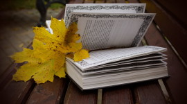 The Autumn Leaf Book Wallpaper#2