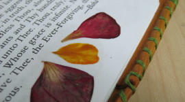 The Book Petals Photo Free#1