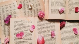The Book Petals Photo#1