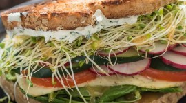 Veggie Sandwich Wallpaper HQ