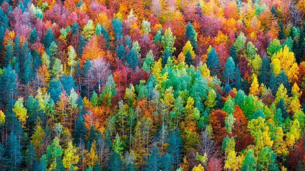 4K Colorful Autumn wallpapers HD