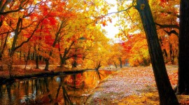 4K Colorful Autumn Photo