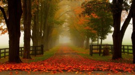 4K Colorful Autumn Photo Download