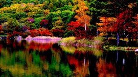 4K Colorful Autumn Wallpaper Full HD