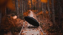 Autumn Sadness Wallpaper For Android