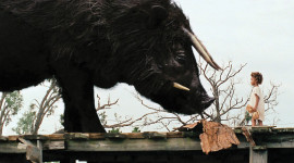 Beasts Of The Southern Wild Image