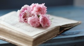 Book Flowers Image Download