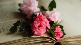 Book Flowers Wallpaper For Android