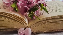 Book Flowers Wallpaper For IPhone Free