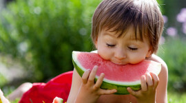 Children Watermelon Aircraft Picture