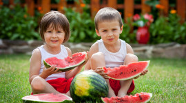 Children Watermelon Photo Download