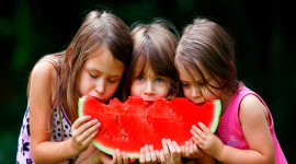 Children Watermelon Wallpaper