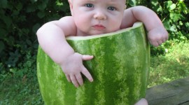 Children Watermelon Wallpaper For Mobile