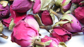 Dried Rose Wallpaper 1080p