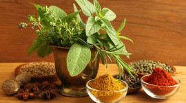 Healing Herbs Wallpaper Download