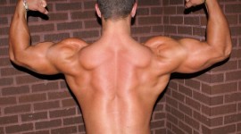 Man Biceps Wallpaper Free