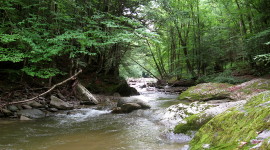 Mountain Stream Picture Download
