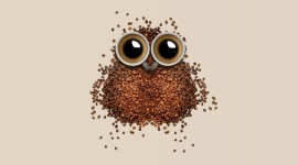 Owl Coffee Image Download
