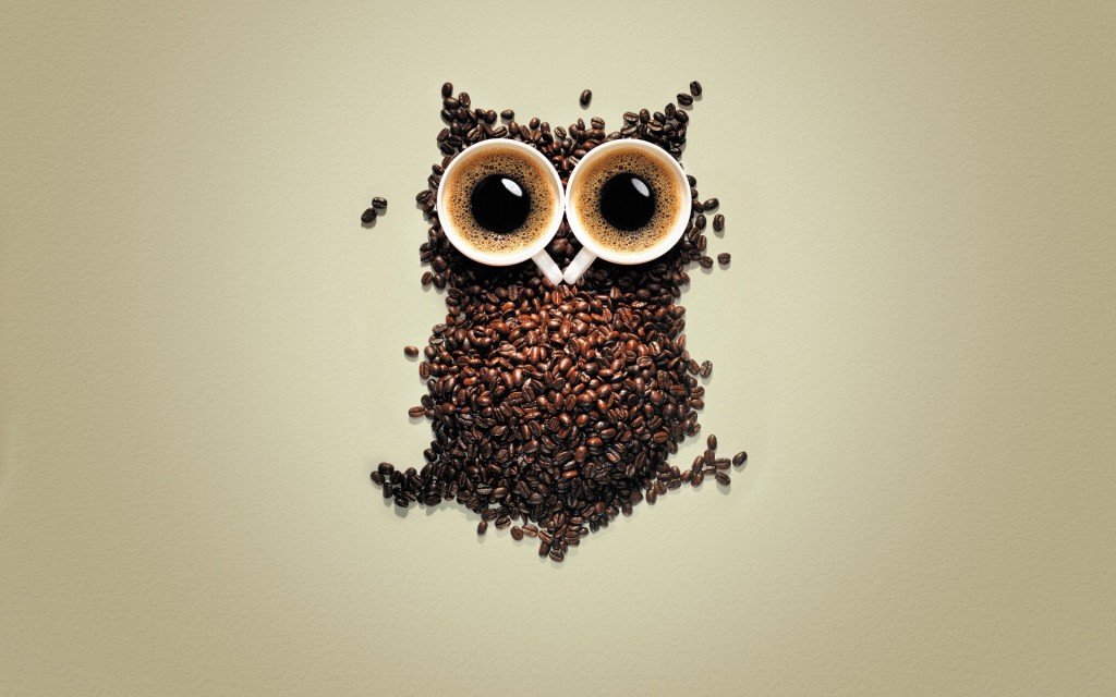 Owl Coffee wallpapers HD