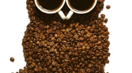Owl Coffee Wallpaper For IPhone