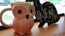 Owl Coffee Wallpaper For PC
