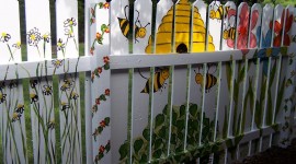 Painted Fences Photo