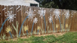 Painted Fences Photo Download
