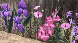 Painted Fences Wallpaper Download