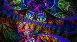 4K Fractal Multicolored Photo Free