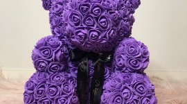 Bear Of Roses Image Download