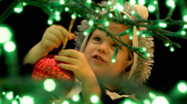 Children Decorate The Christmas Tree Pics