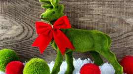 Christmas Reindeer Desktop Wallpaper HD