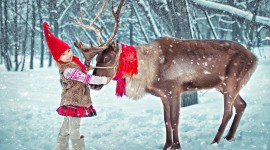 Christmas Reindeer Photo Download