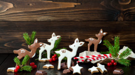 Christmas Reindeer Picture Download