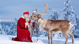 Christmas Reindeer Wallpaper 1080p