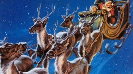 Christmas Reindeer Wallpaper Free