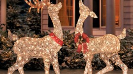 Christmas Reindeer Wallpaper HQ#1