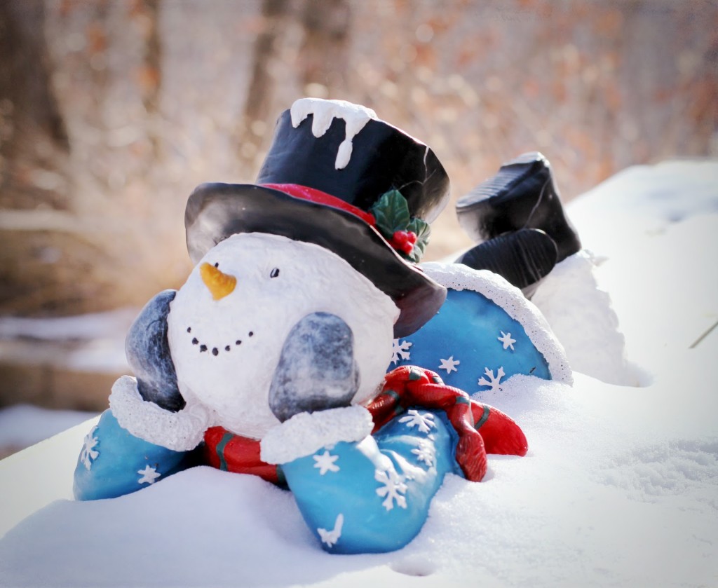 Funny Snowman wallpapers HD