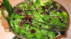 Green Salad Wallpaper