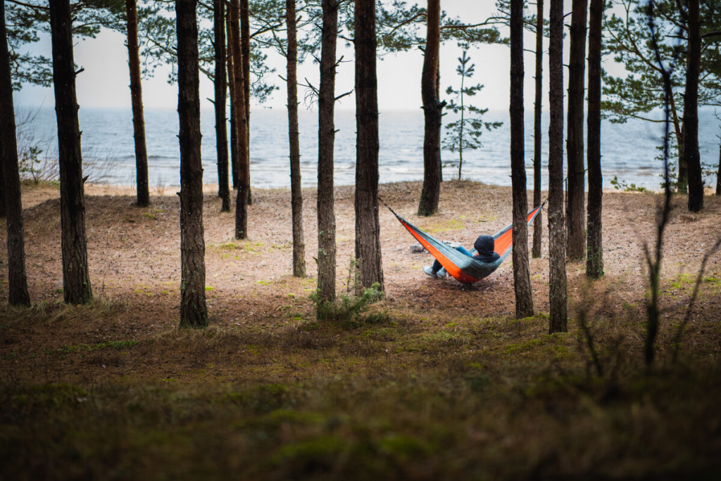 Hammock In The Forest wallpapers HD