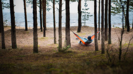 Hammock In The Forest Wallpaper Download