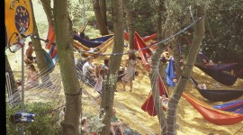 Hammock In The Forest Wallpaper Download Free