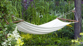 Hammock In The Forest Wallpaper For PC