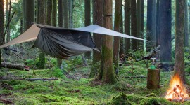 Hammock In The Forest Wallpaper HQ