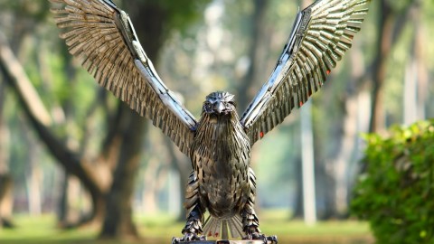 Metal Eagle wallpapers high quality