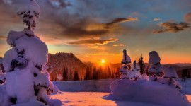 Winter Sunset Photo Download